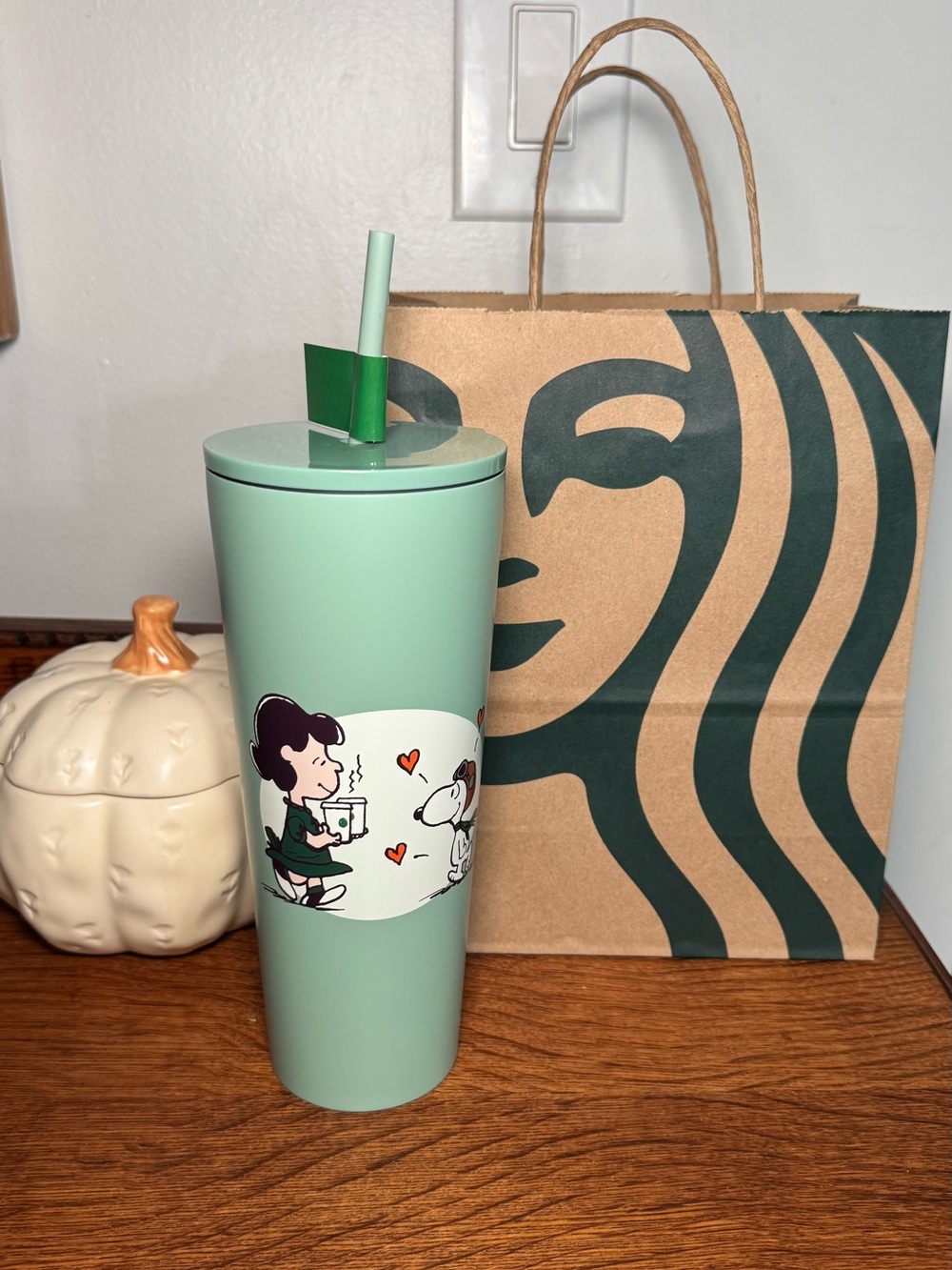 Starbucks Mint Green Peanuts Stainless Tumbler with Straw and Character Art